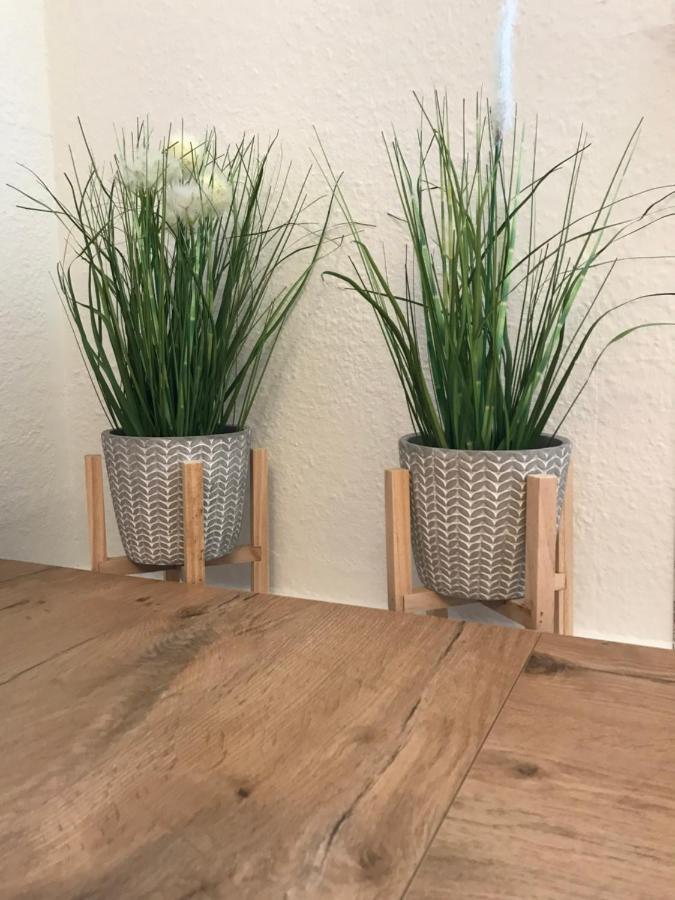 Ferienwohnung Schroeder 라이프치히 외부 사진